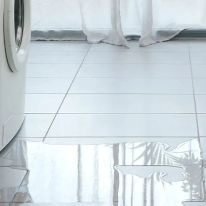 Appliance Leak Cleanup in Ruskin, FL