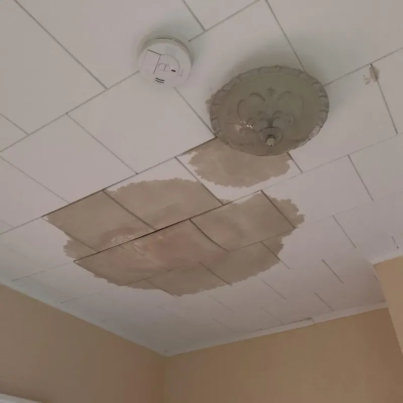 Ceiling Water Damage Repair in Ruskin, FL